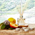 Colony Summertime Splash 200ml Reed Diffuser