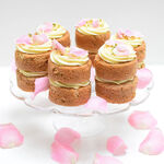 Tala Disposable Icing Bags 10 Pack