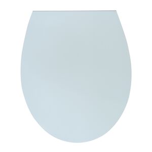 Super Slim Soft Closing Toilet Seat