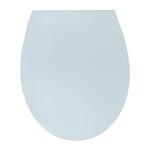 Super Slim Soft Closing Toilet Seat
