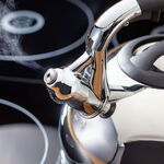 Judge Stove Top Whistling Kettle 3L