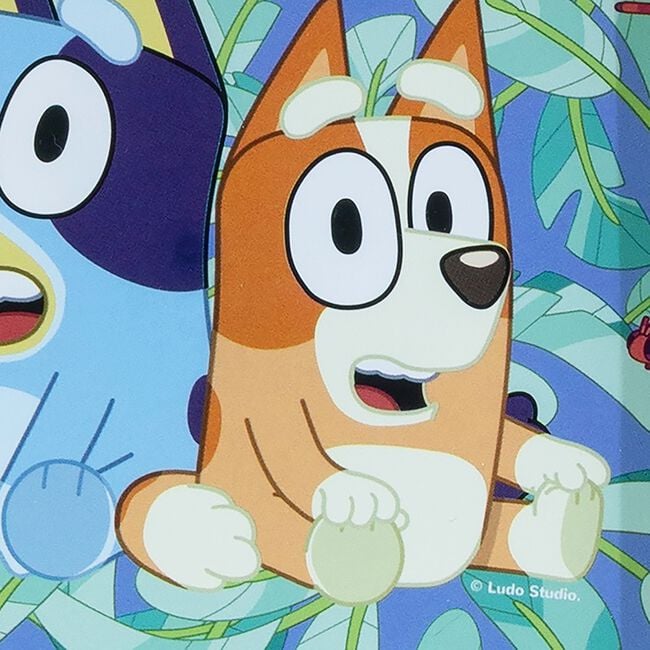 Bluey Kids Lunch Box & Water Bottle Set