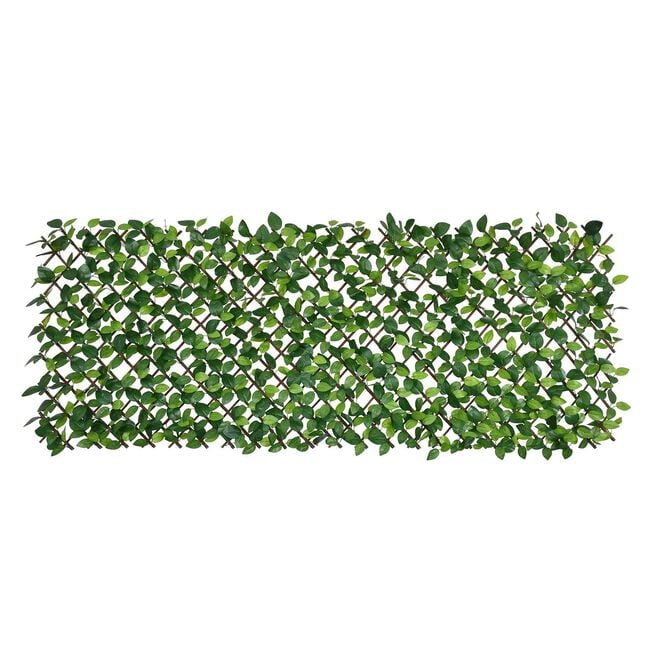 Rose Leaf Willow Trellis 2M X 1M
