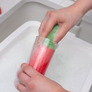 Fairy Glass Buddy 2 Sponges