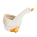 Duck Plant Pot