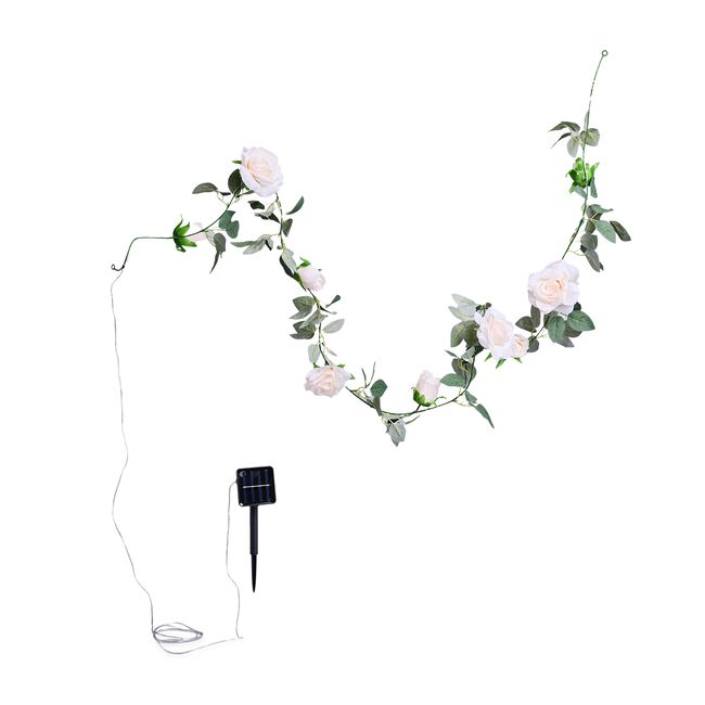 2m Rose Solar Garland