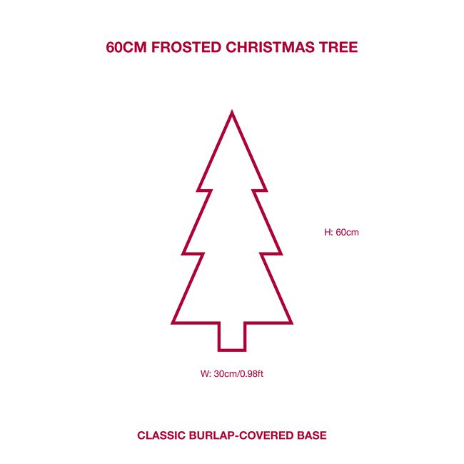 60cm Frosted Christmas Tree
