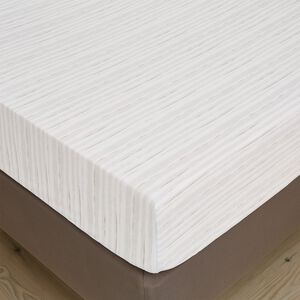OLIVIA LINEAR Single Fitted Sheet