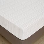 OLIVIA LINEAR Single Fitted Sheet