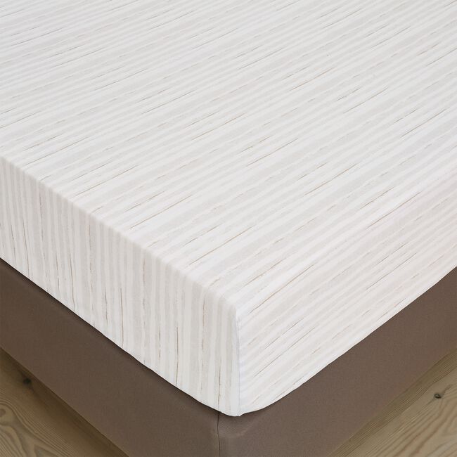 OLIVIA LINEAR Single Fitted Sheet