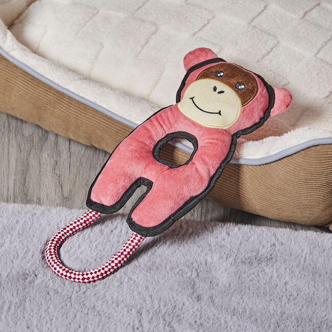 Mack Pet Toy