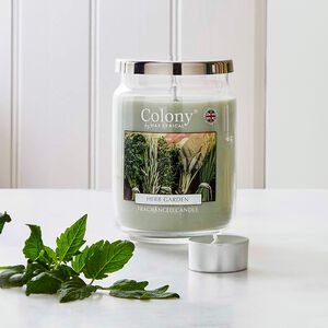 Colony Large Jar Herb Garden