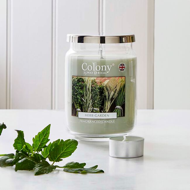 Colony Large Jar Herb Garden