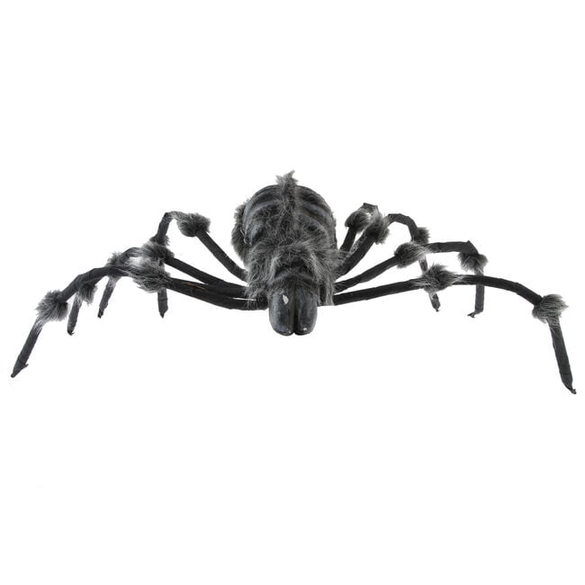Giant Skeleton Spider