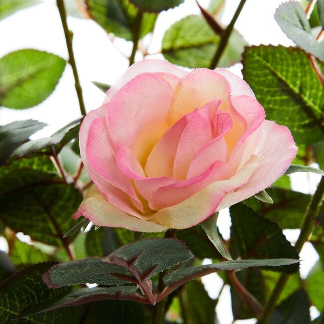 60cm Artificial Pink Rose Bush