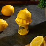Joie Lemon Juicer