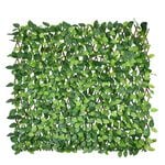Rose Leaf Willow Trellis 2M X 1M