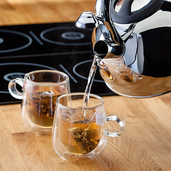 Judge Stove Top Whistling Kettle 3L