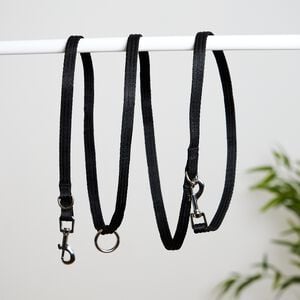Dog Training Leash