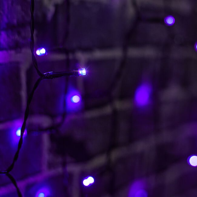100 Purple Halloween String Lights 