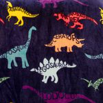 Dino Days 120cm x 150cm Throw