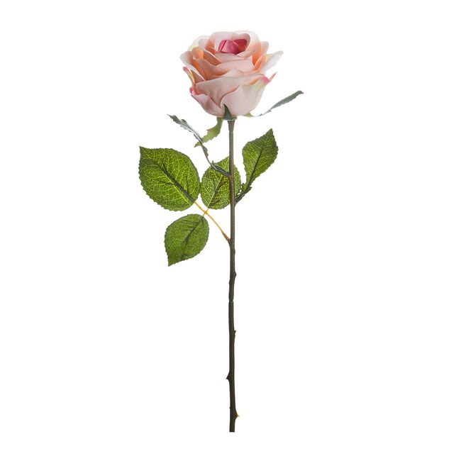 SINGLE ROSE BUD Pink 