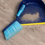 Flash Dustpan Set