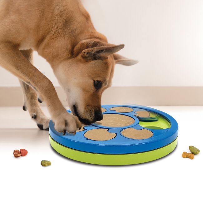 JML Dog Treat Puzzle Toy