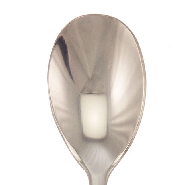 Ritz Tea Spoon 
