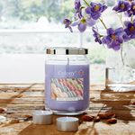 Colony Large Jar Sweet Macarons