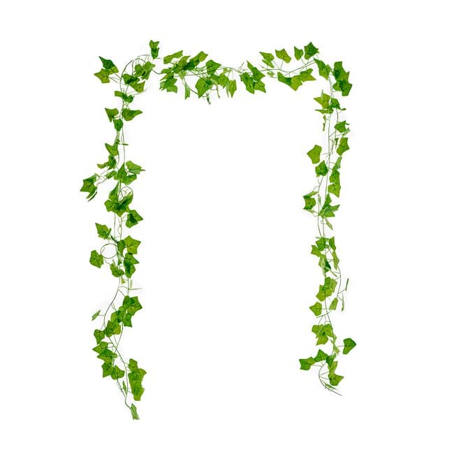 Ivy Creeper Garland 6M