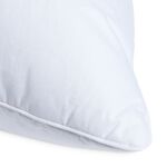Superwash 60 Hypoallergenic Pillow 