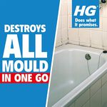 HG Mould Preventor 0.5L