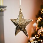 Gold Sequin Star Hanging Decoration