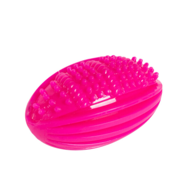 Smart Choice Rubber Rugby Ball Squeaking Dog Toy 