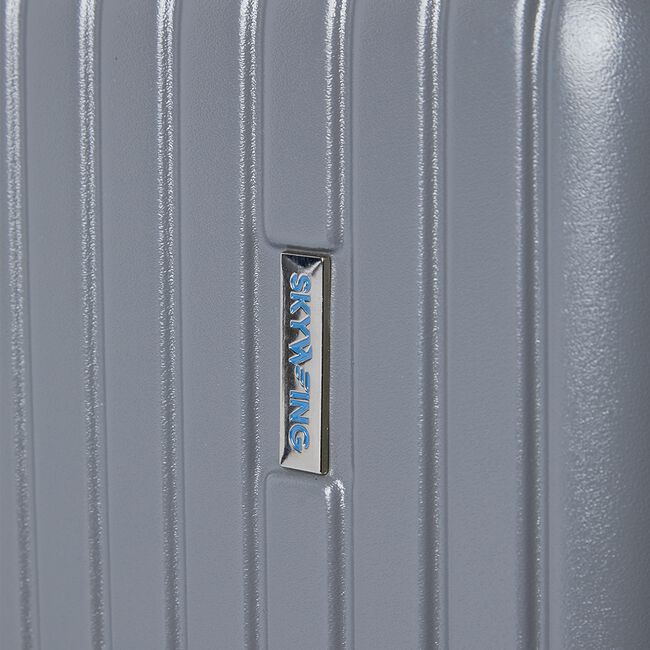 Cabin Size Lightweight Hardshell Luggage - SIlver