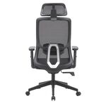 Ergonomic Office Chair