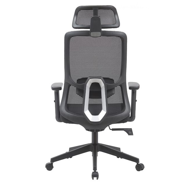Ergonomic Office Chair