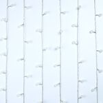 80 WARM WHITE Crystal Berry String Lights