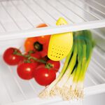 Culinare Fridge Deodoriser