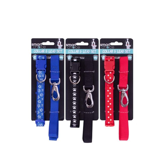 Smart Choice Dog Lead & Collar Set