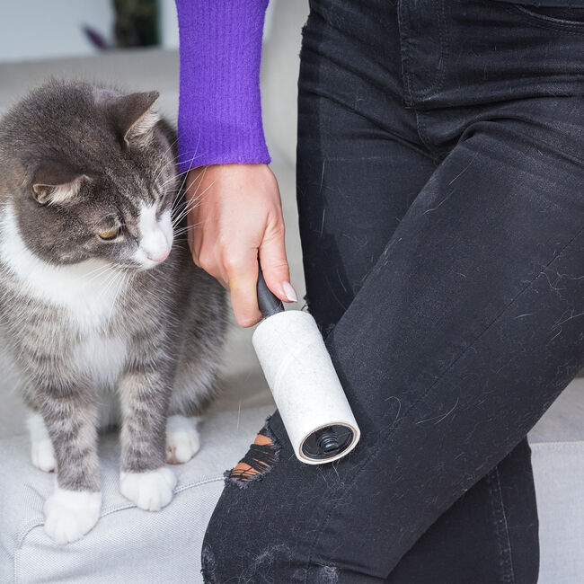 Swirl Lint Roller - 2 Pack