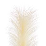 Pampas Single Stem Natural 96cm