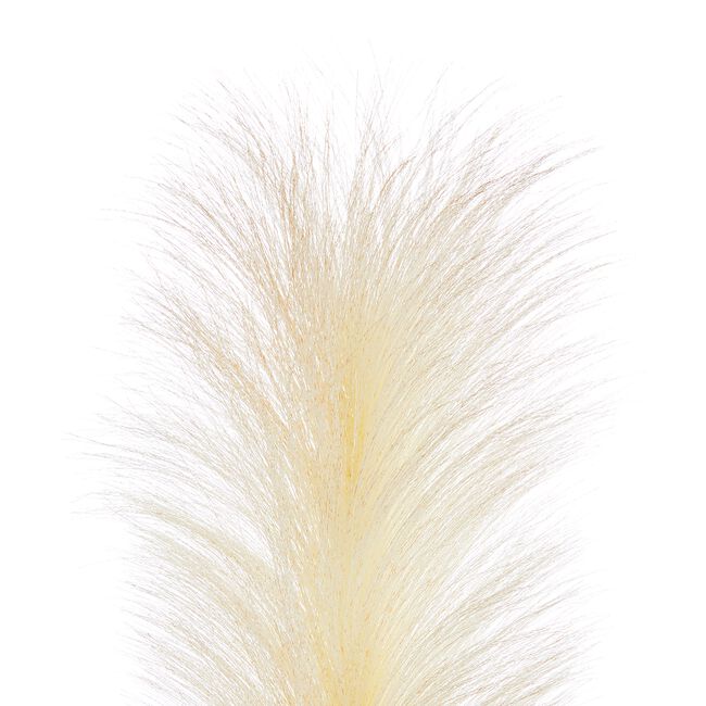 Pampas Single Stem Natural 96cm