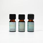 Aeromatic Essential Oils Desert Oasis 3 Pack