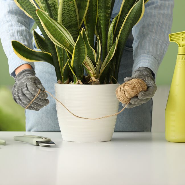 Garden Jute Twine 75m