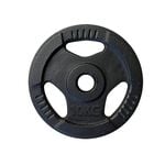 Cast Iron Weight 10kg
