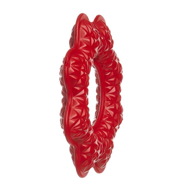 Durable Ring Dog Toy
