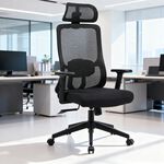 Ergonomic Office Chair