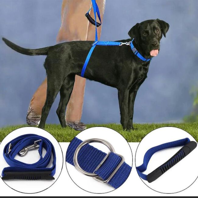 Pet Instant Trainer Harness